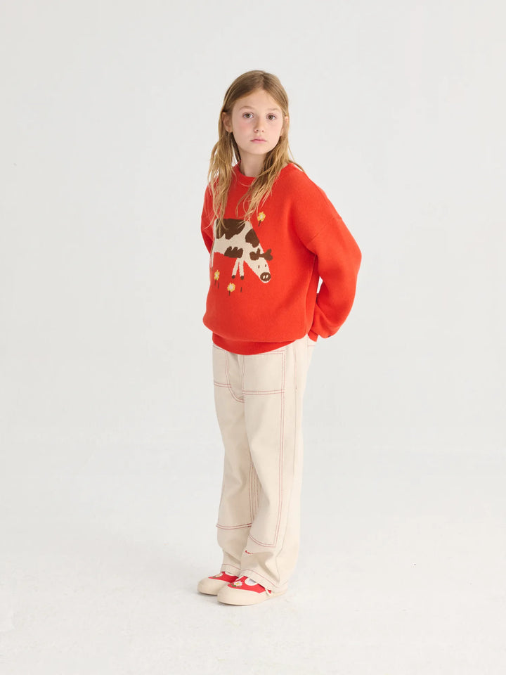 Farm Adventure jumper