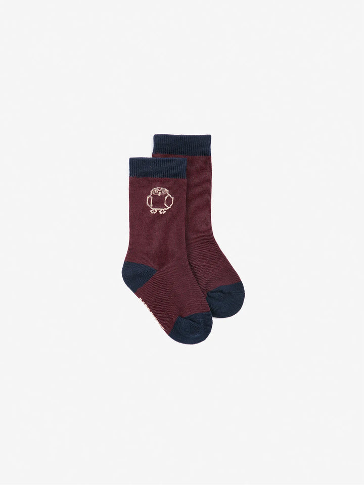 Curious Owl socks pack