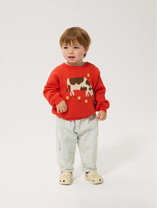 Farm Adventure jumper